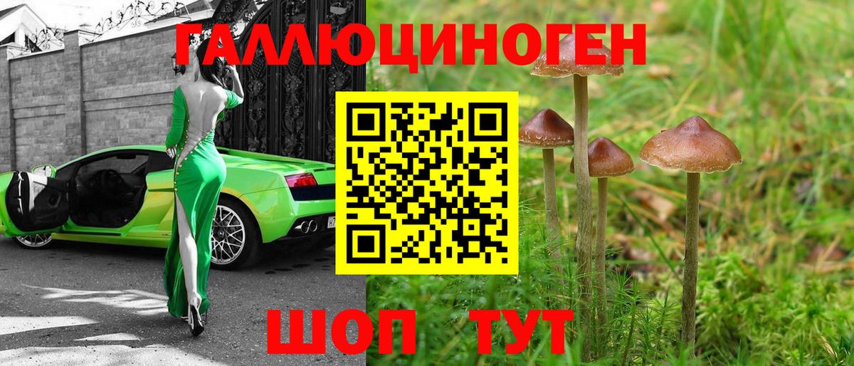 Псилоцибиновые грибы MAGIC MUSHROOMS  Вход с VPN  Лысьва 